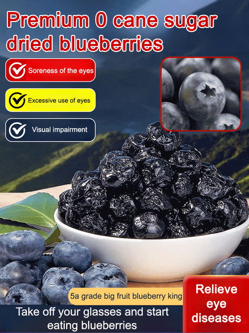 Premium Sugar-Free Blueberry Dried Fruit