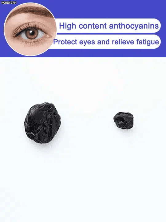 Premium Sugar-Free Blueberry Dried Fruit