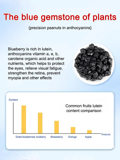 Premium Sugar-Free Blueberry Dried Fruit