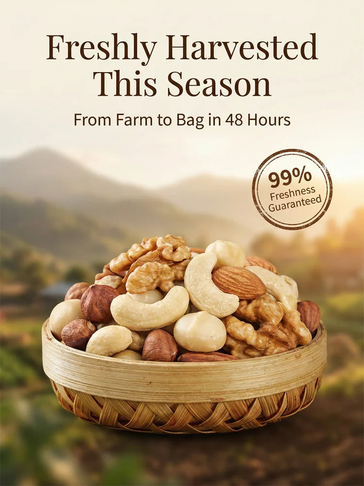 Daily Nuts Mixed Nuts and Dried Fruits Snack